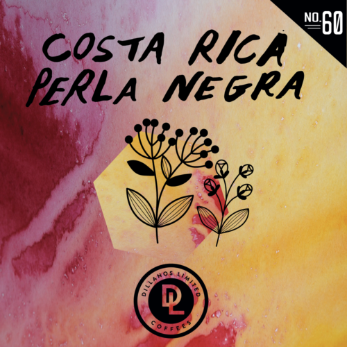 Perla Negra Dillanos Coffee Roasters