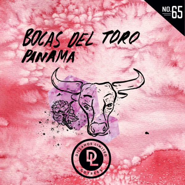 DL No 65 Bocas del Toro by DCR Coffee | Card