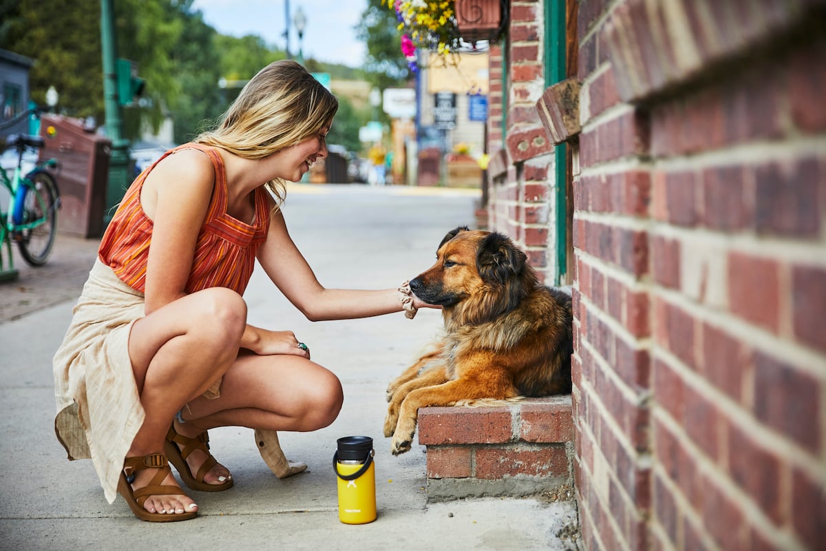 Hydro Flask 12 Oz Coffee Cup with Flex Sip Lid - Black