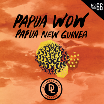 DL No. 66: Papua Wow