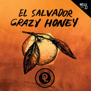 DL55: Crazy Honey